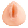 PDX Elite Masturbateur Pussy Sorority Snatch